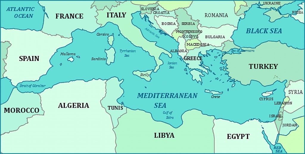 Types Of Sharks In The Mediterranean Sea Owlcation   6088126 F1024 