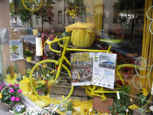 Flower Shop window in Colmar, France