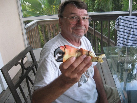 We like harvesting our own stone crab claws. Hubby is about to devour this one.