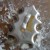 This holly cutter has berries etched on to the surface. circa 1930s This holly cutter has berries etched on to the surface. circa 1930s