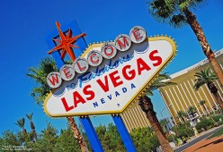 Not Just Card Dealers and Show Girls: Highest Paying Jobs in Las Vegas