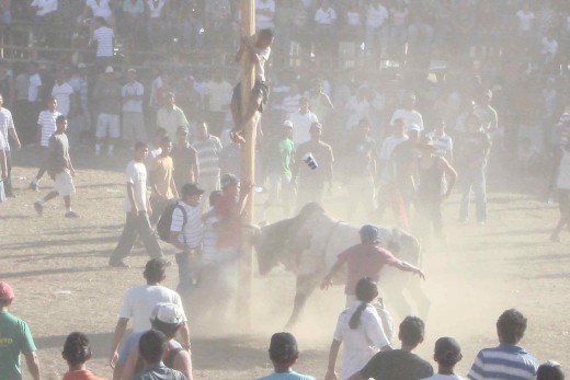 Kids using the center pole as protection from a rambunctious bull.  One boy is climbing for his life.