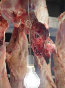 A butcher shop is full of clues.