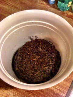 A chunk of dry dirt in the pot.