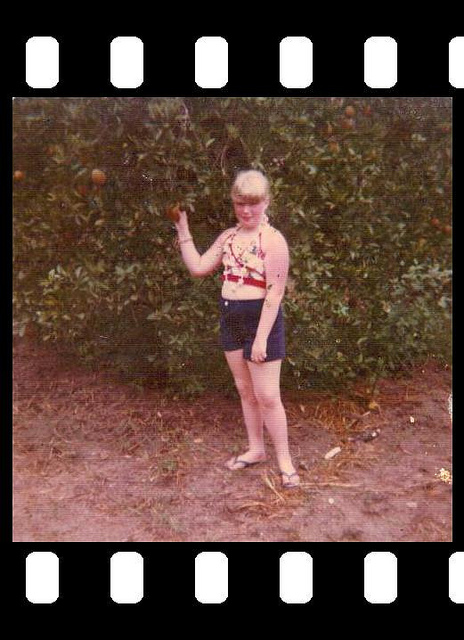 Welcome to Florida! Here's an orange!