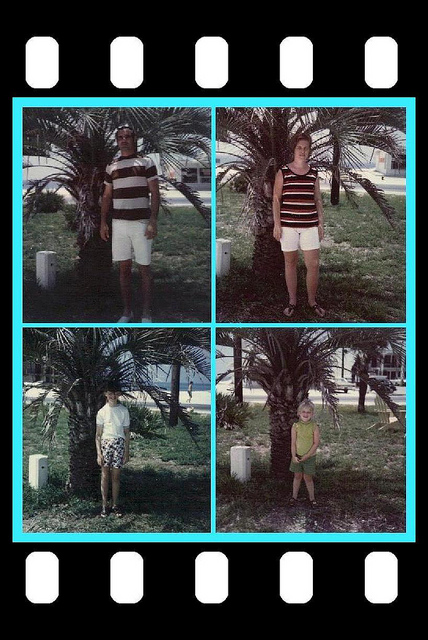 We all posed by our favorite palm tree. I think his name was Fred.