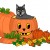 Cute Black Cat And Pumpkins In This Photo