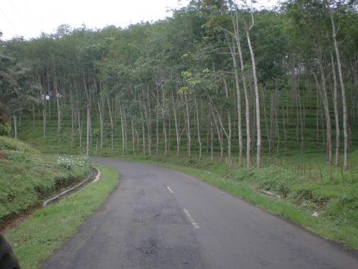 The winding road leads to Pelabuhan Ratu