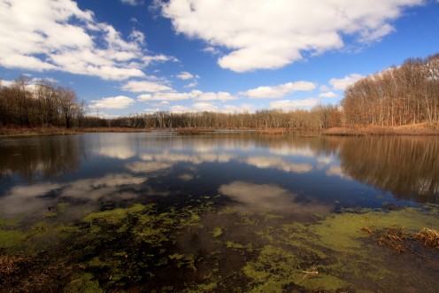 Spring Sky Reflected in Water, Black Fork Bottoms Hunting Preserve, Ashland County, Ohio