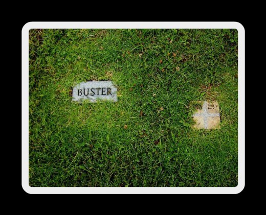 I never figured out what this one was. There is no headstone, only one name maker with a number marker beside it. They are very close to the street. I thought maybe a pet, but this is not a pet cemetery.