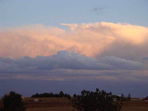 Cotton Candy