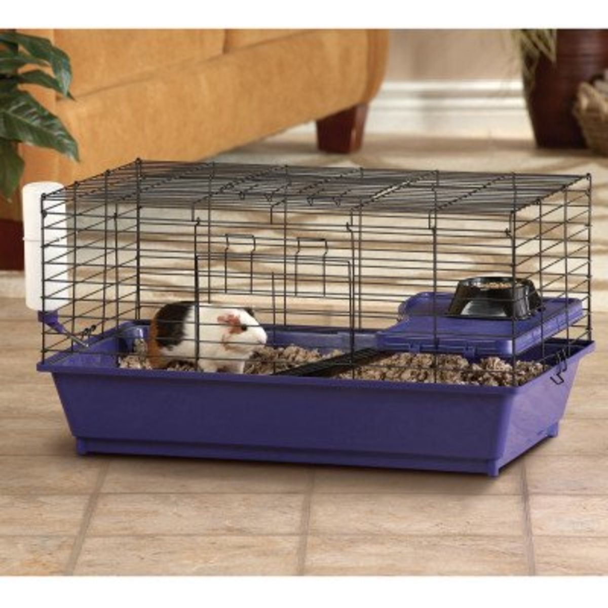 Petsmart says this cage is a "perfectly sized home for your guinea pig". Not only is this cage less than half the size it should be, the $60 you would have spent buying it could have built you a C&C cage in the right size, with cash to spare.