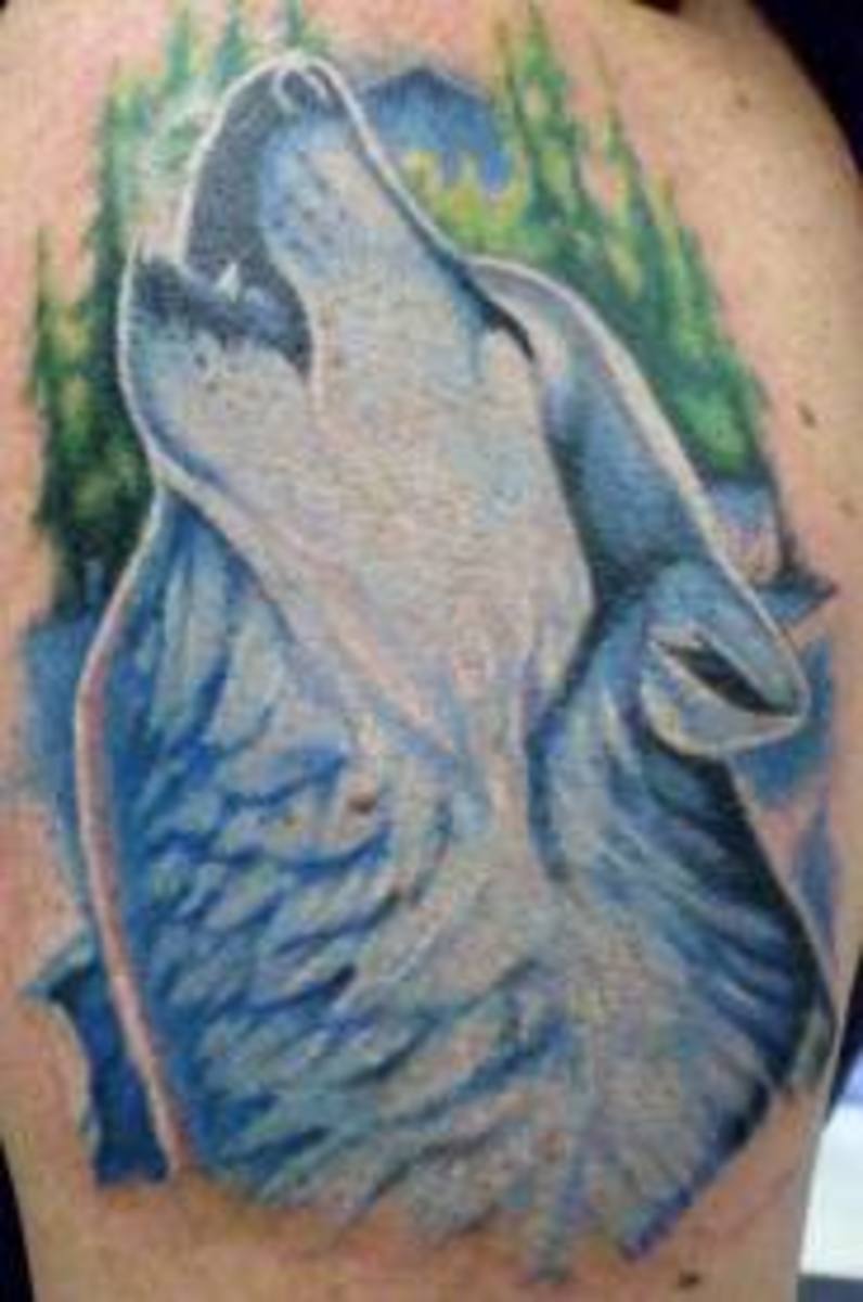 Wolf Tattoos Designs, Ideas, and Meanings TatRing