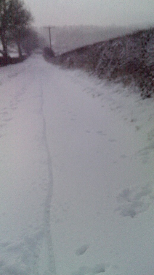Fresh bike tracks in the snow on the way out of Bestwood Country Park. 