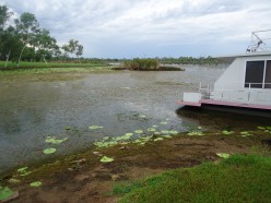 http://s2.hubimg.com/u/6130185_f248.jpg