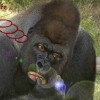 freepretender profile image