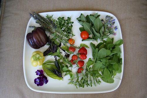 Edible flowers and plants