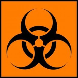 https://usercontent1.hubstatic.com/6142930_f260.jpg