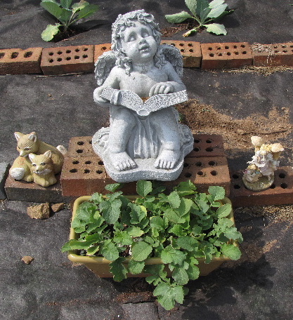 Angel Fred watches over our container garden with radishes that are just about ready to harvest.