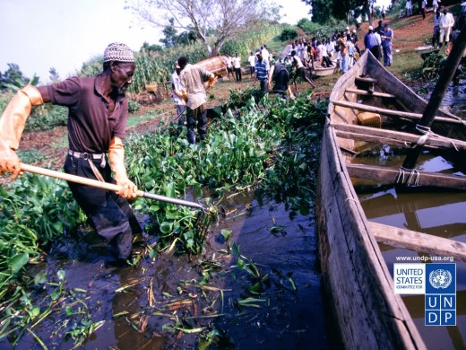 Ugandan farmers learn new techniques with assistance from the United Nations.