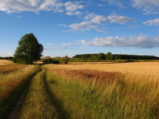 Sunlight brightens the path ahead revealing all before you. Confession also shines a light.