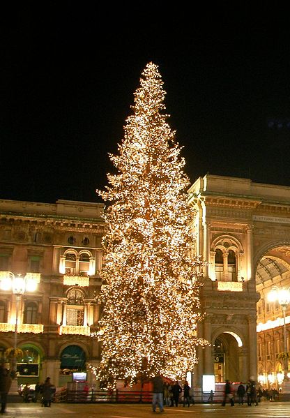 In Italy, a beautifully lit tree