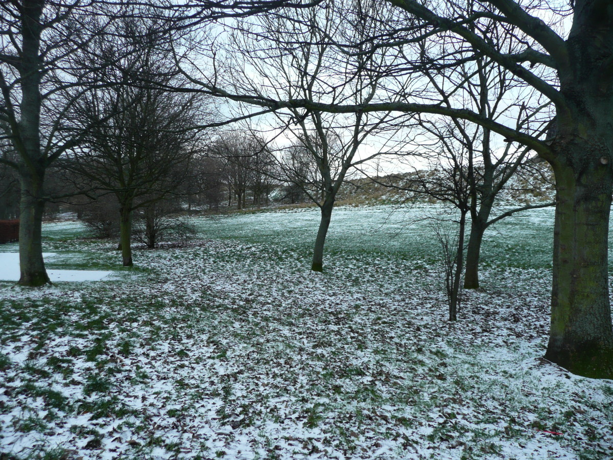 Holyrood Park in Winter