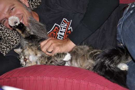 Brian with one of our foster cats. What guy wouldn't want a kitty like this to snuggle with? C'mon!
