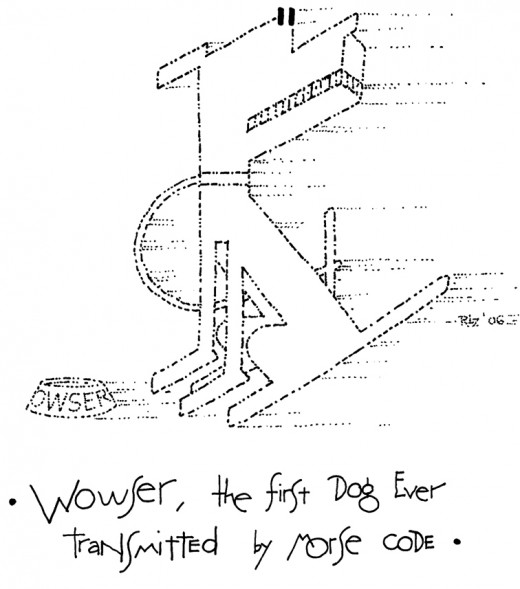 Wowser, the First Dog Ever Transmitted by Morse Code