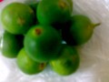 Calamansi Juice: Health Benefits, Diet And How To Grow Its Tree