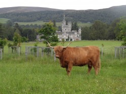 Some of the best places to visit with or without children in Perthshire, Angus and Aberdeenshire in Scotland.