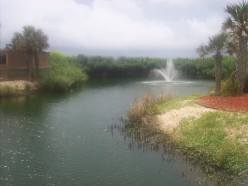 http://s2.hubimg.com/u/6172089_f248.jpg