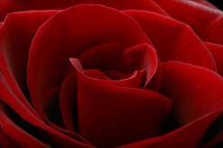 http://s3.hubimg.com/u/6172886_f248.jpg