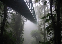 Climates, Tropical Forests and National Parks of Costa Rica