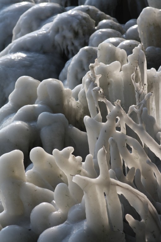 Nature ice Sculpture, Versoix  Marina & Lake Prominade, Lake Geneva, Switzerland