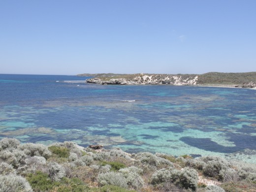 It is the history of Wadjemup, the 'Place across the water,' the sacred home of their ancestral spirits and protected by Yrprinri, the Caperpillar.