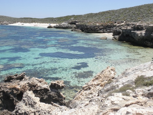 Some 4,000 Aboriginal men and boys died on this island during this period.