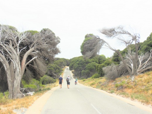 between Aboriginal and non-Aboriginal Australians.