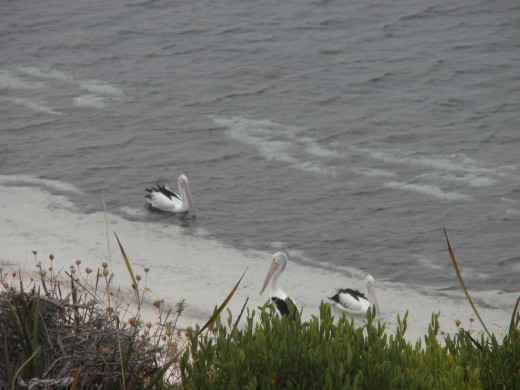 'We can arrange direct transport to your secret fishing spot.'...suggests another one.
