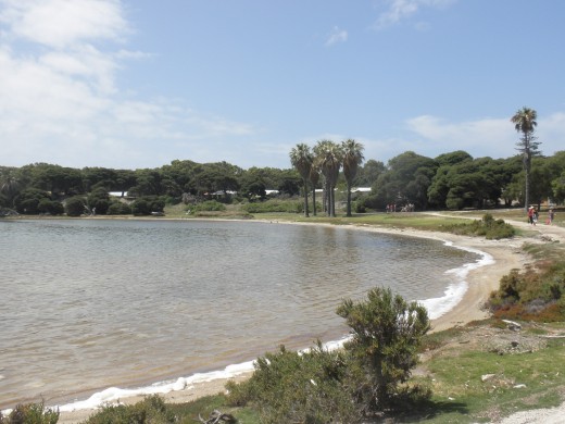 I stop reading and in the attempt to avoid holidaying crowds I walk 5 km inland to sit on the banks of pink lake.