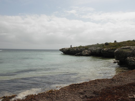 'Come to this island to pay respect...