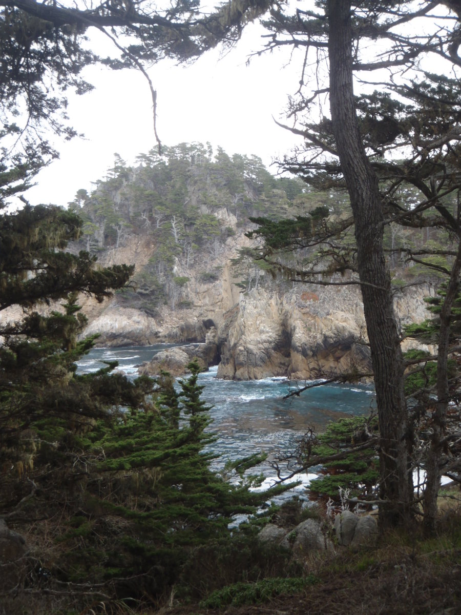 Point Lobos State Preserve outside of Monterey.