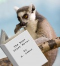 Self Publishing: The Great Debate