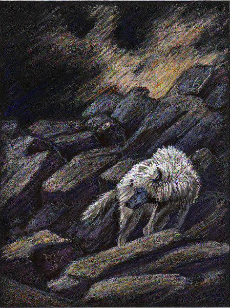 "A White Wolf" - pastel on PastelMat by Robert A. Sloan