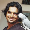 sanalkamal profile image