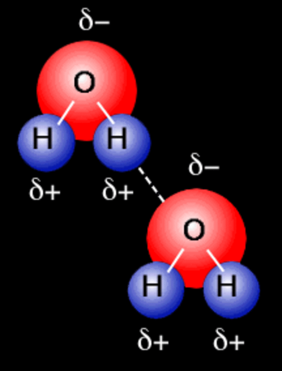Primary and Secondary Bonds Owlcation