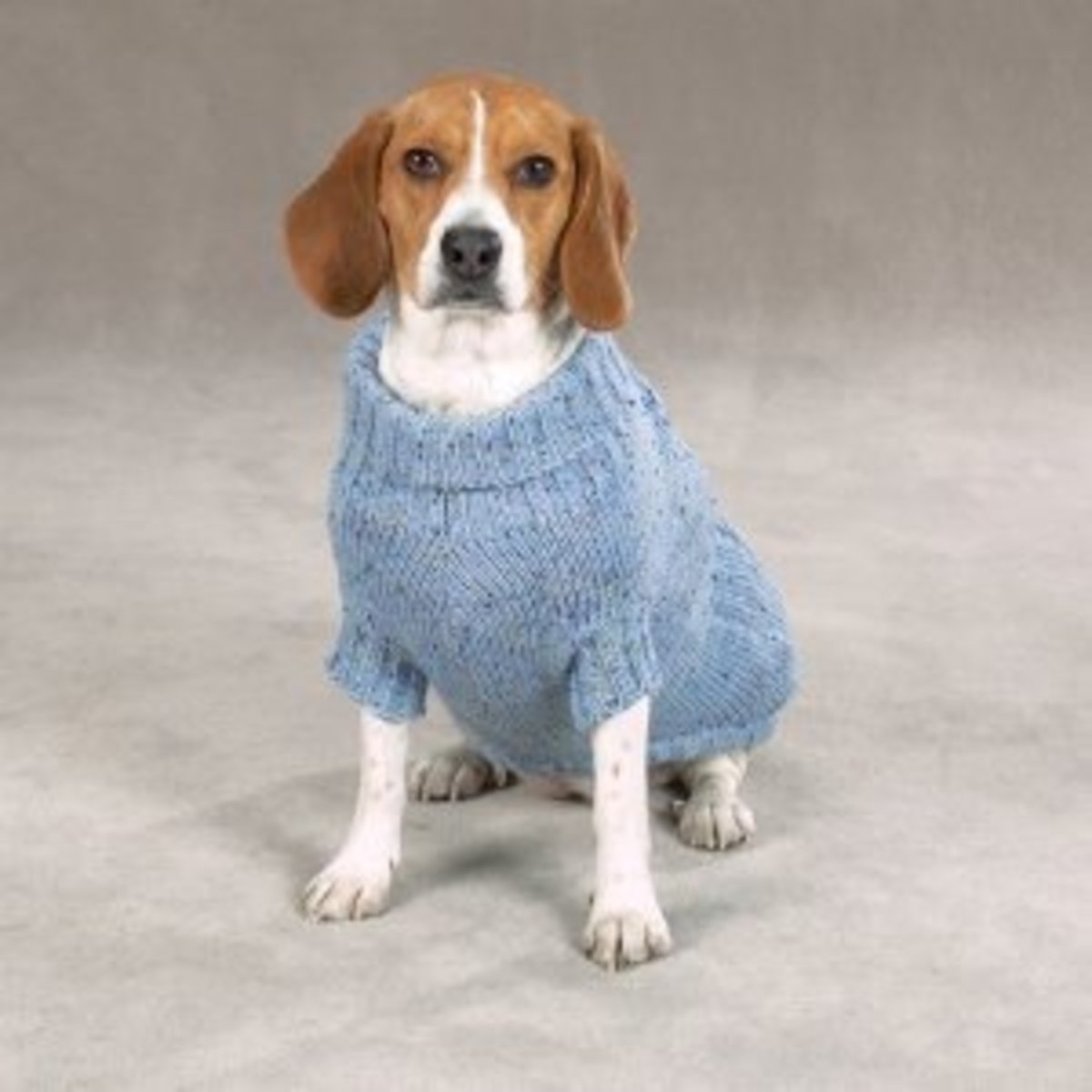 6 Free Dog Coat Knitting Patterns Keep your dog Warm and Cozy with a