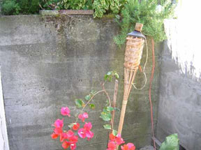 The Functioning Shower