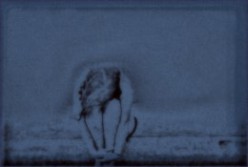 http://s2.hubimg.com/u/6194209_f248.jpg