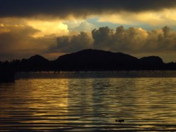 http://s3.hubimg.com/u/6194486_f248.jpg